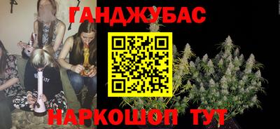 крисы Вязьма