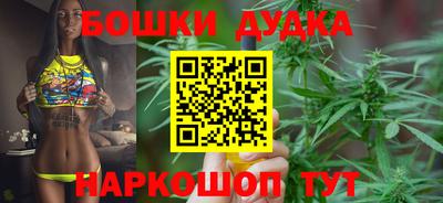 крисы Вязьма