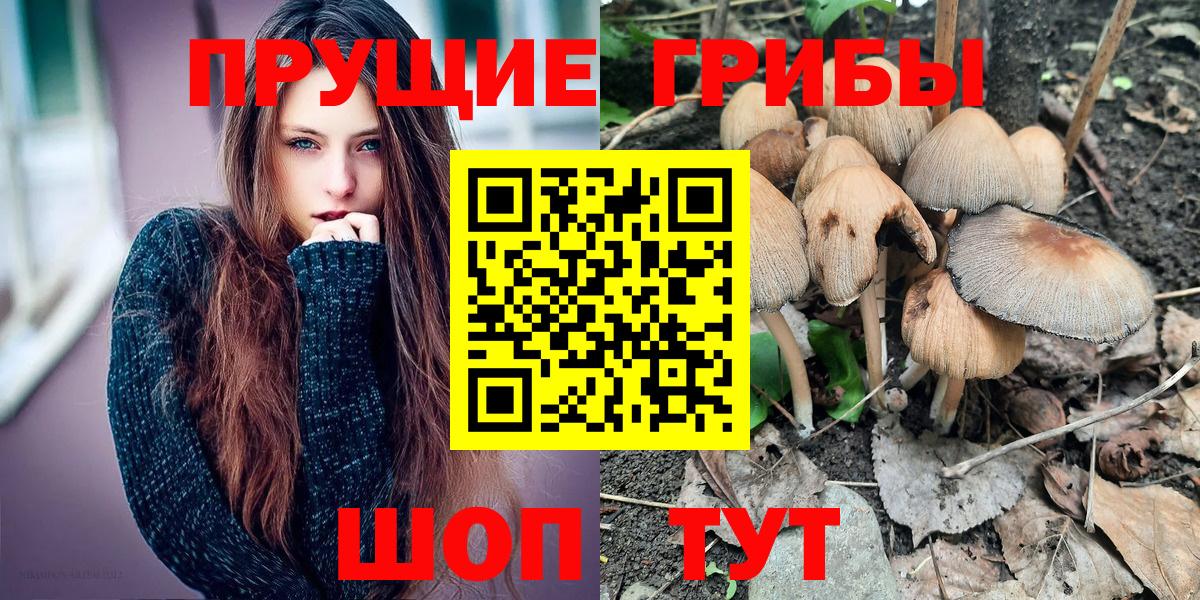 купить  цена  Псилоцибиновые грибы GOLDEN TEACHER  Воскресенск  Вход с VPN  Псилоцибиновые грибы прущие грибы 